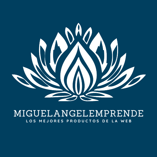 miguelangelemprende